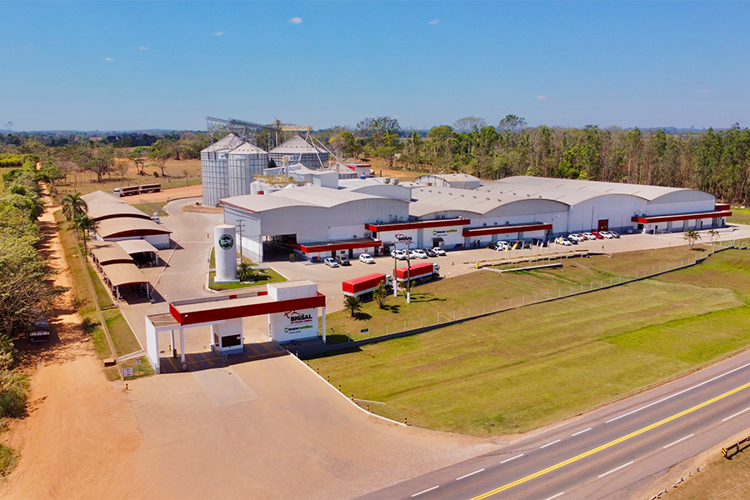 Marca da Trouw Nutrition, Bigsal impulsiona economia do Norte com inovação na pecuária e compromisso sustentável